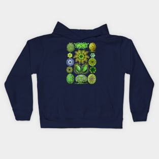 Ernst Haeckel Ascidiae Sea Squirts Green Kids Hoodie